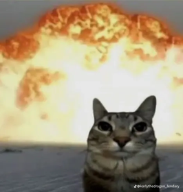 Cộng đồng văn minh văn hoá 