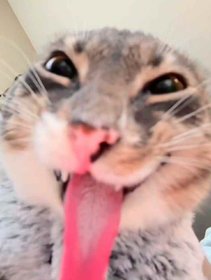 Sớm ngày chạy thận